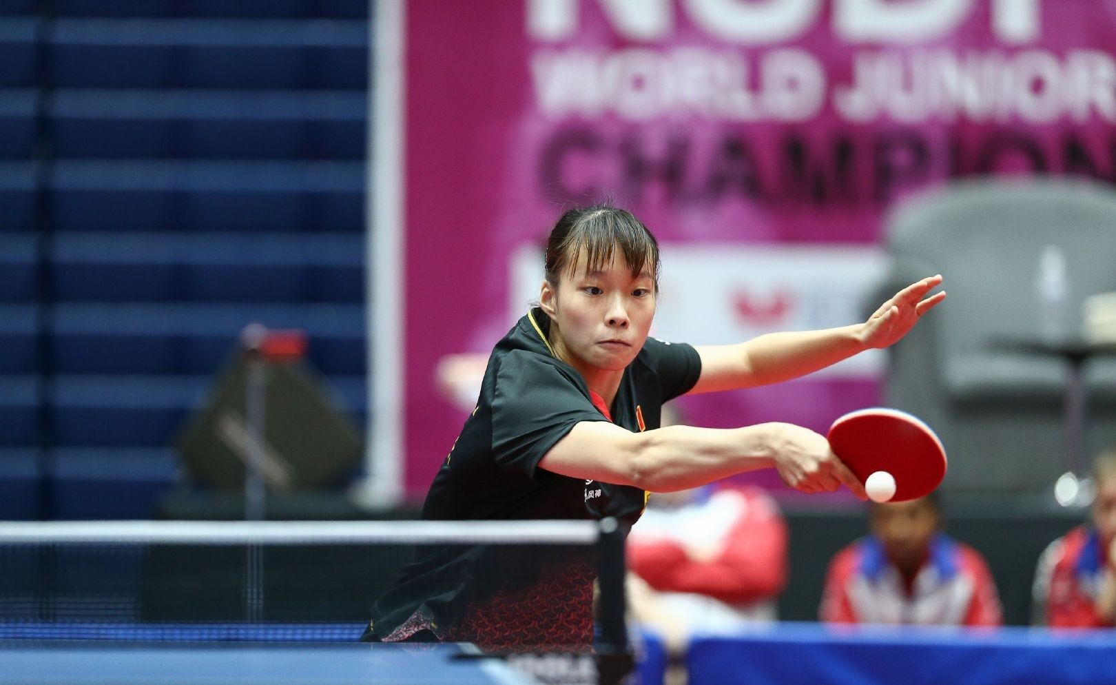 凯利在此前 凯利在此前