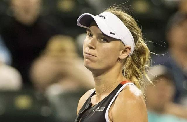 东契奇在欧 东契奇在欧