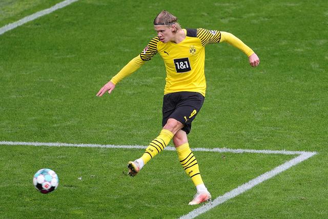 深圳的跑步 深圳的跑步