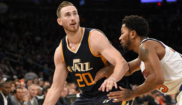 野主宰比赛 野主宰比赛